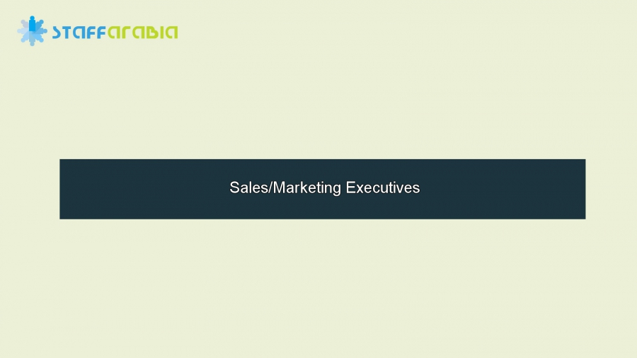 Sales/Marketing Executives 
